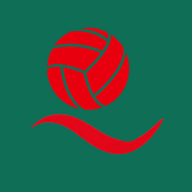 Light Volleyball